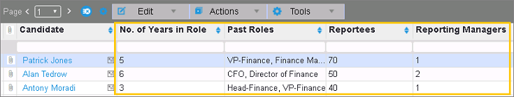 skillpoint-executive-search-customized-candidate-list-view.png